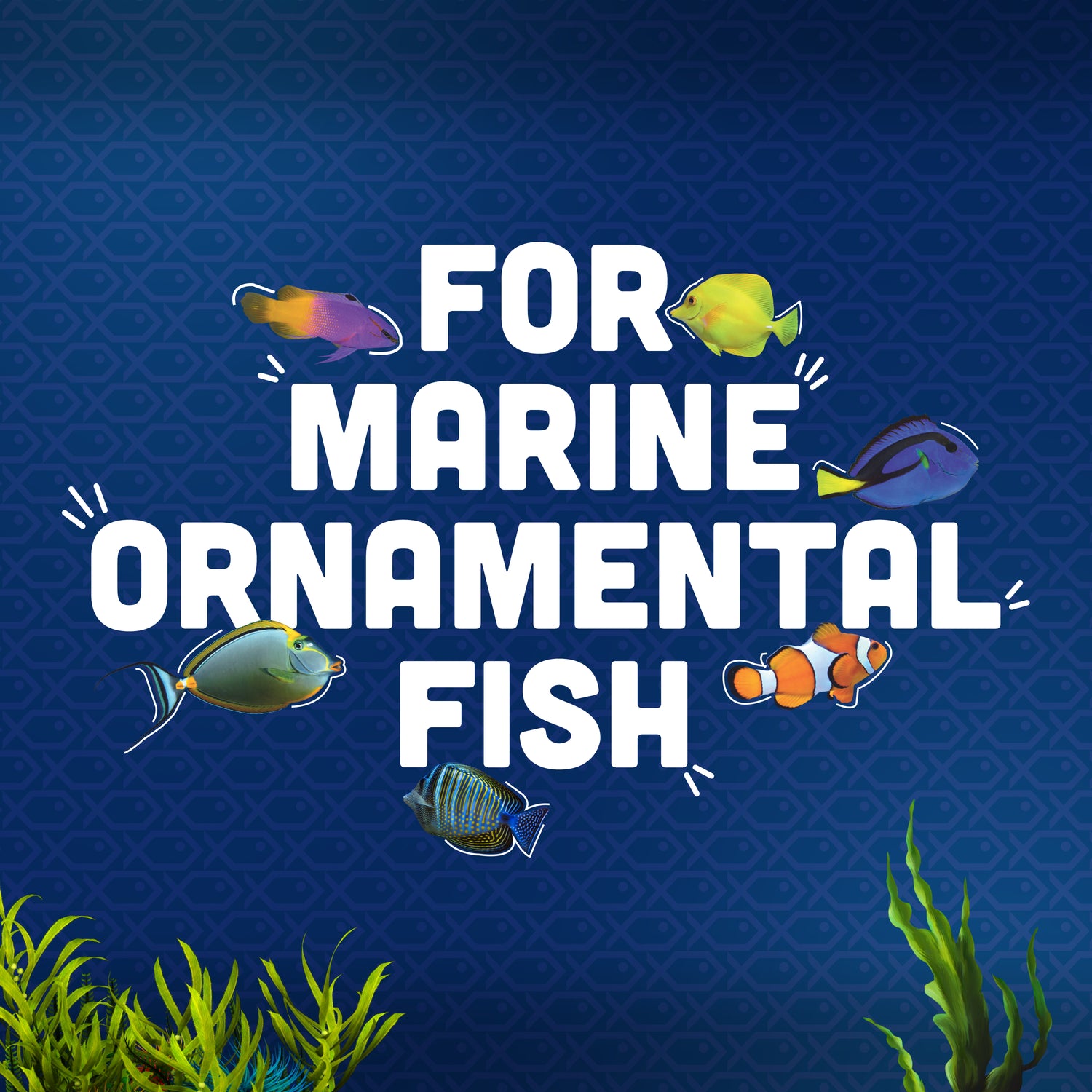 Marine Water Pets