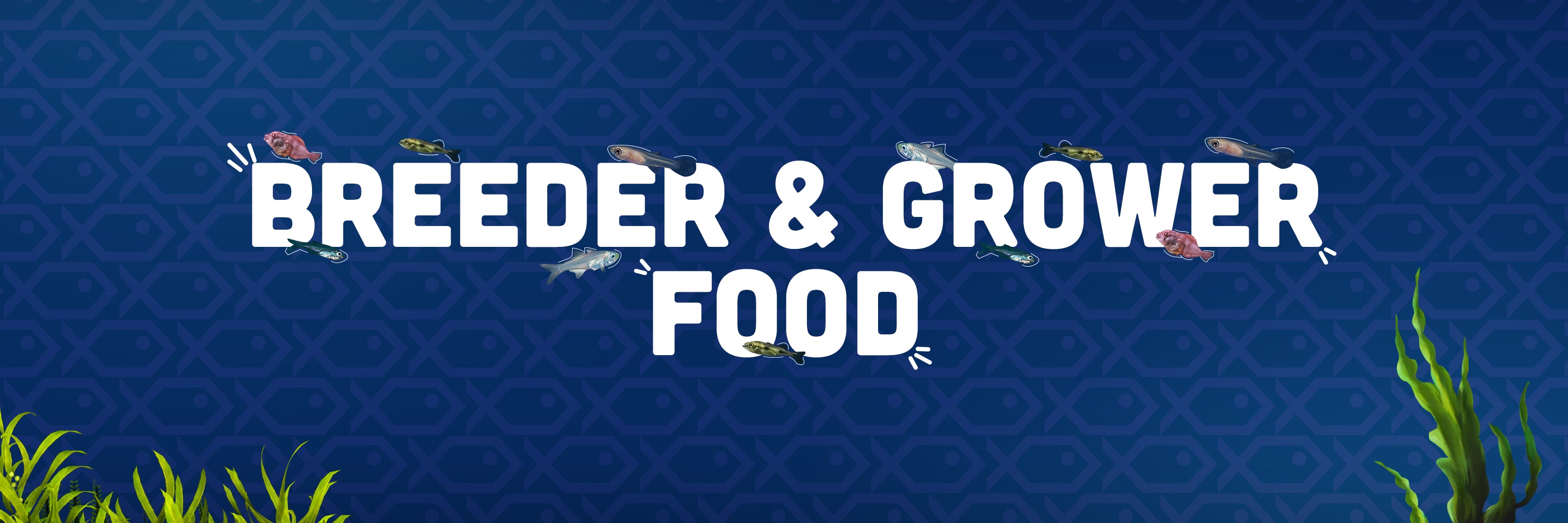 Intan Ornamental Fish Food, Fish feed breeder home page banner