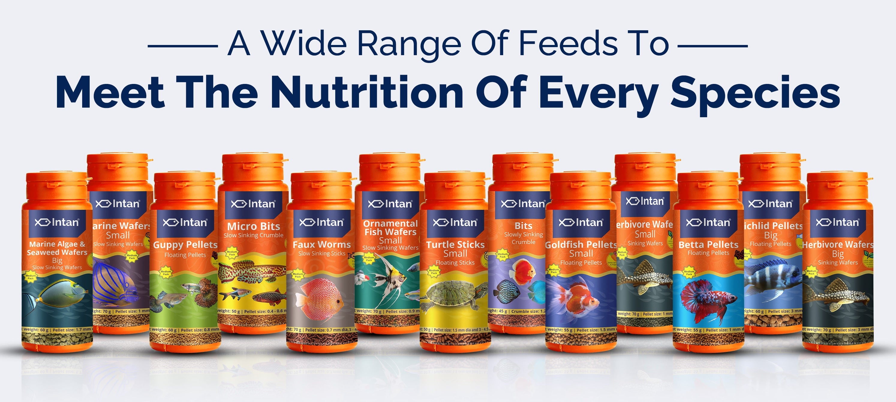 Intan Ornamental Fish Food White Banner - A Wide range of feeds to meet the nutrition of every species for fish feed