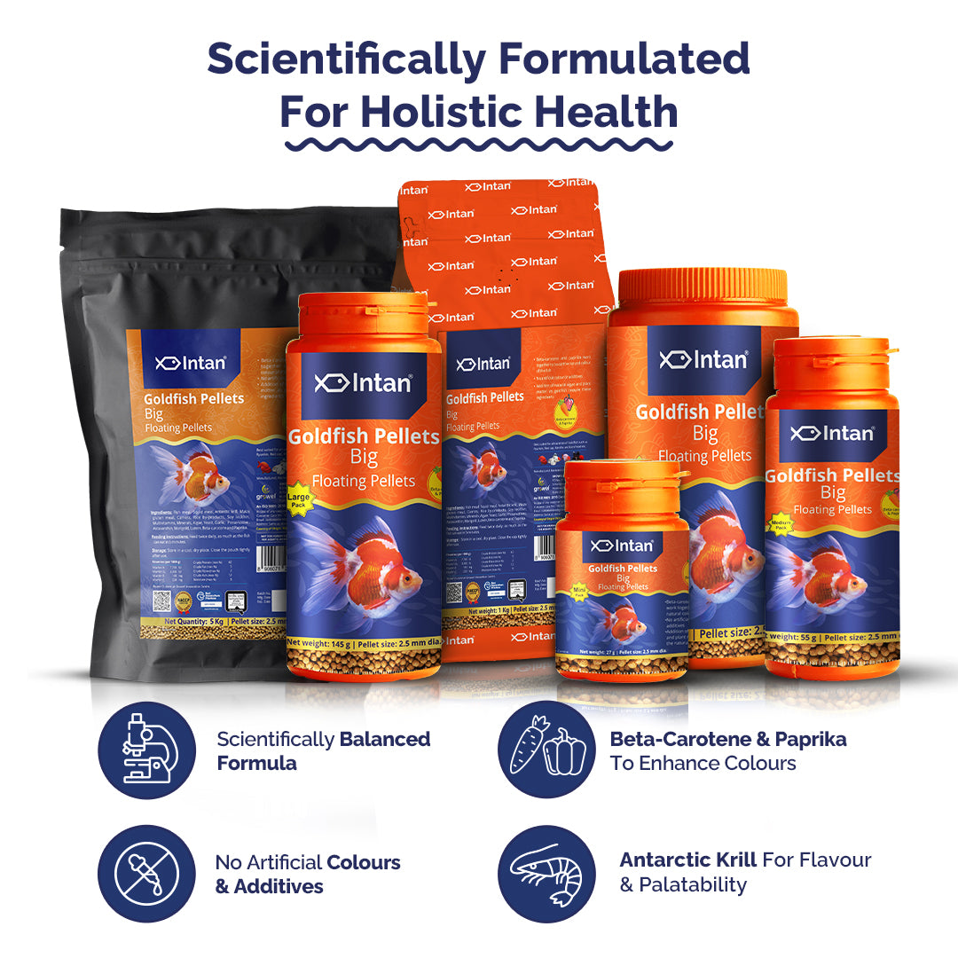 Growel Intan Goldfish Pellets (Big) | Ornamental Fish Food
