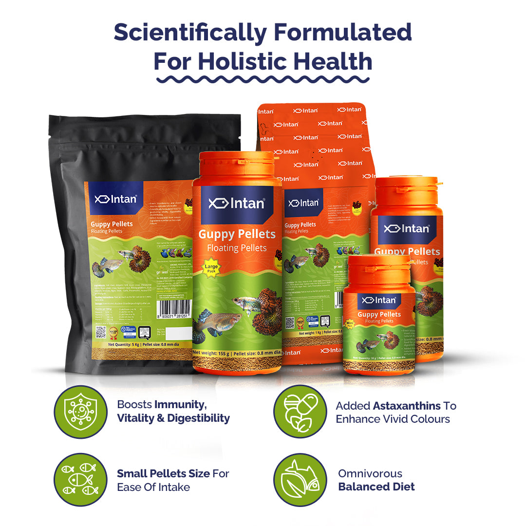 Growel Intan Guppy Pellets | Highly Nutritious Ornamental Fish Food