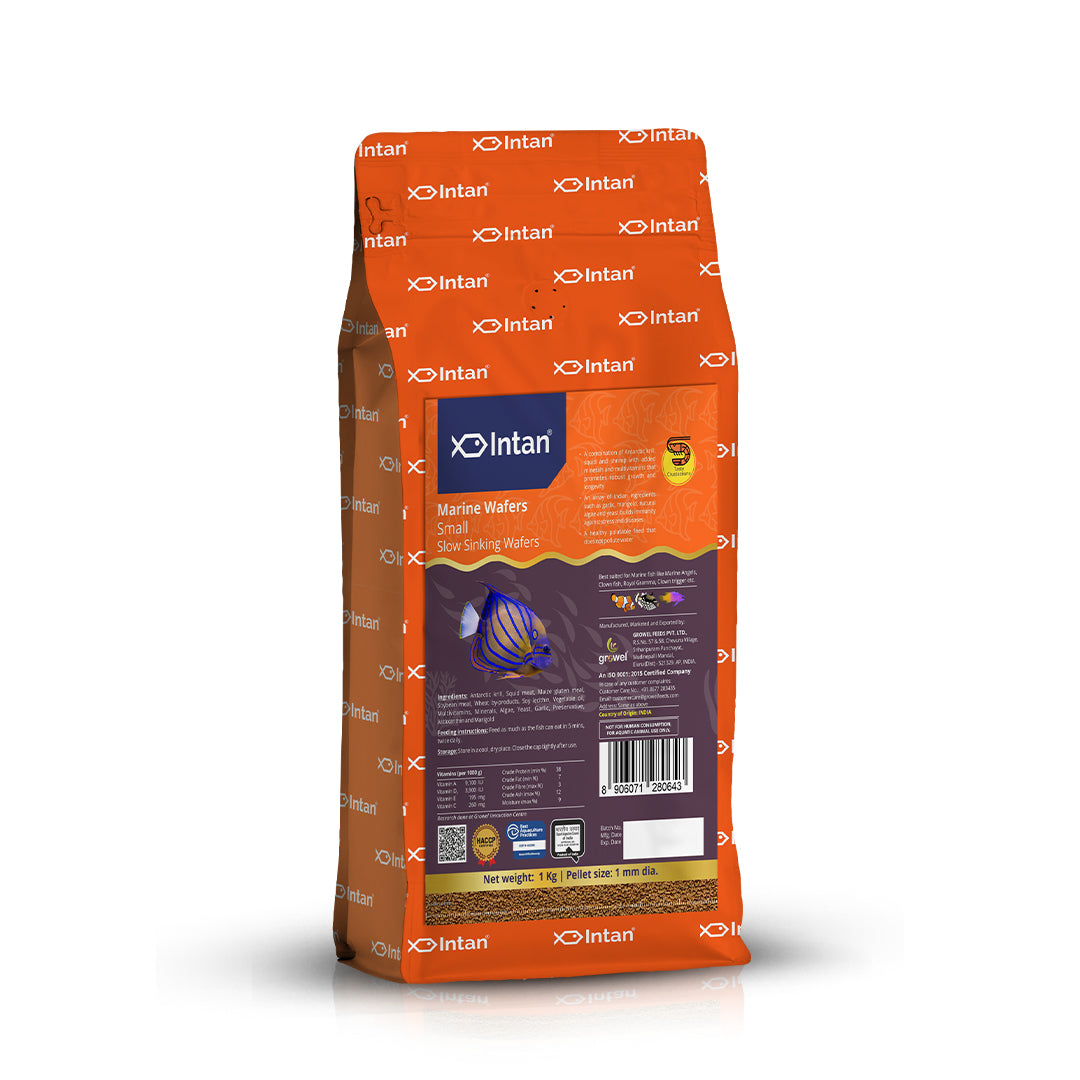 Intan Marine Wafers Small Fish Food - 1Kg
