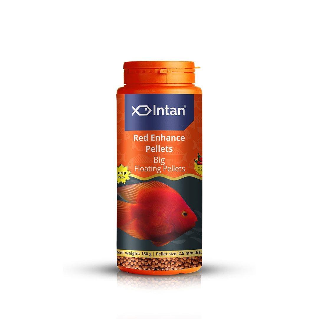 Intan Red Enhance Pellets - Big | Floating Fish Food