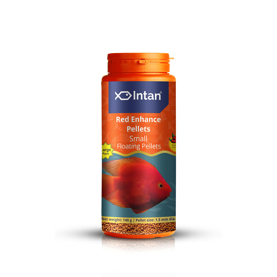 Intan Red Enhance Pellets - Small | Floating Fish Food