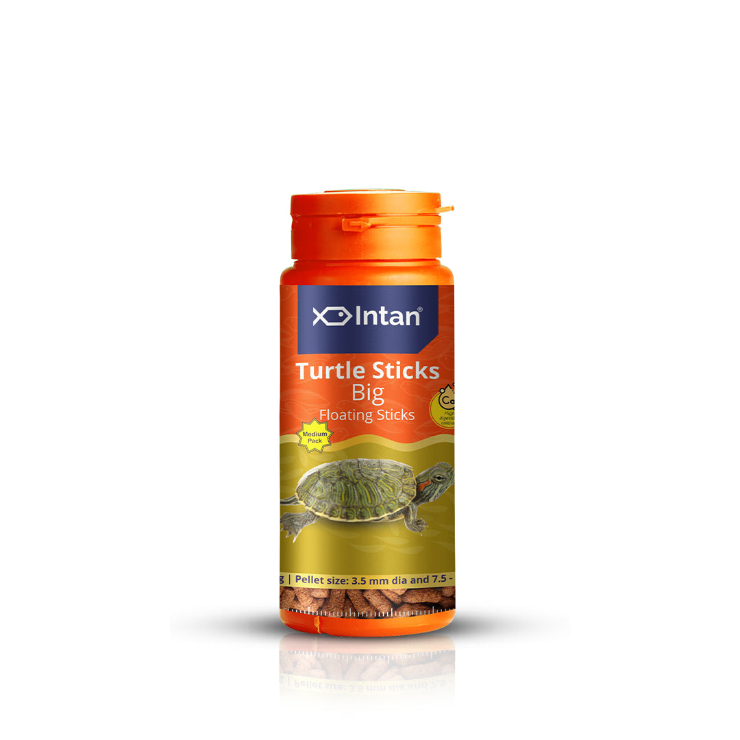 Intan Turtle Sticks - Big | Floating Turtle Food