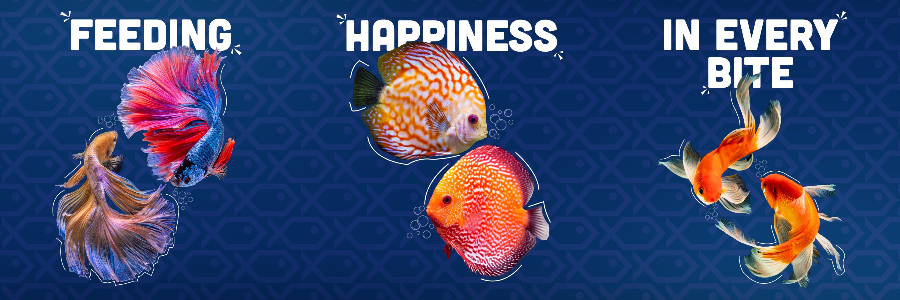 Intan Ornamental Fish Food, Fish feed feeding happiness in every bite