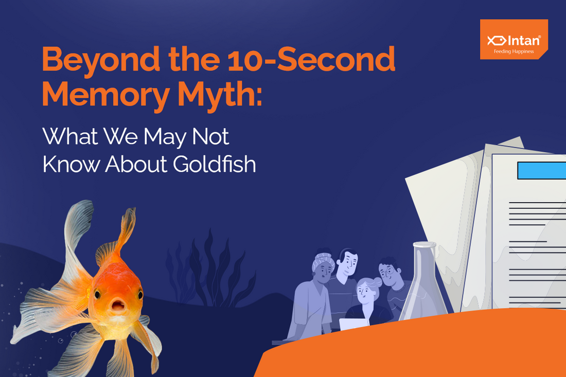 5 Interesting Facts About Goldfish