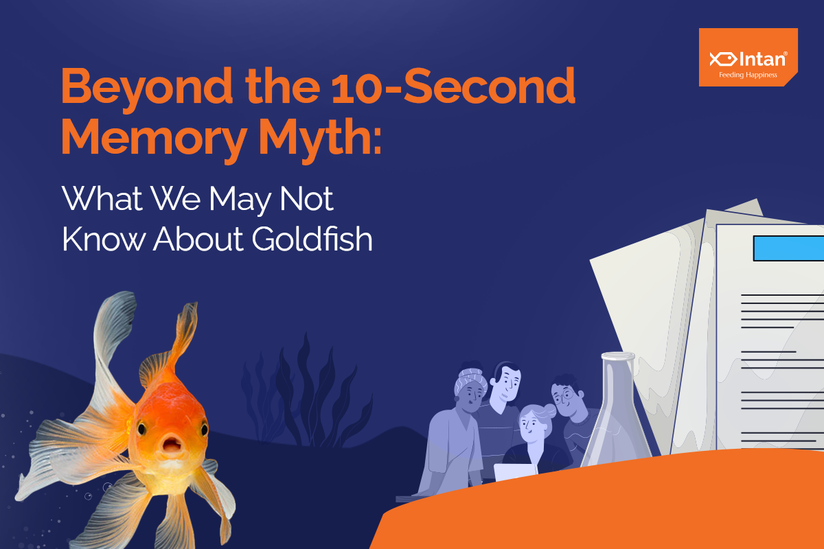 5 Interesting Facts About Goldfish