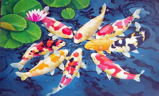 History of the Koi Fish