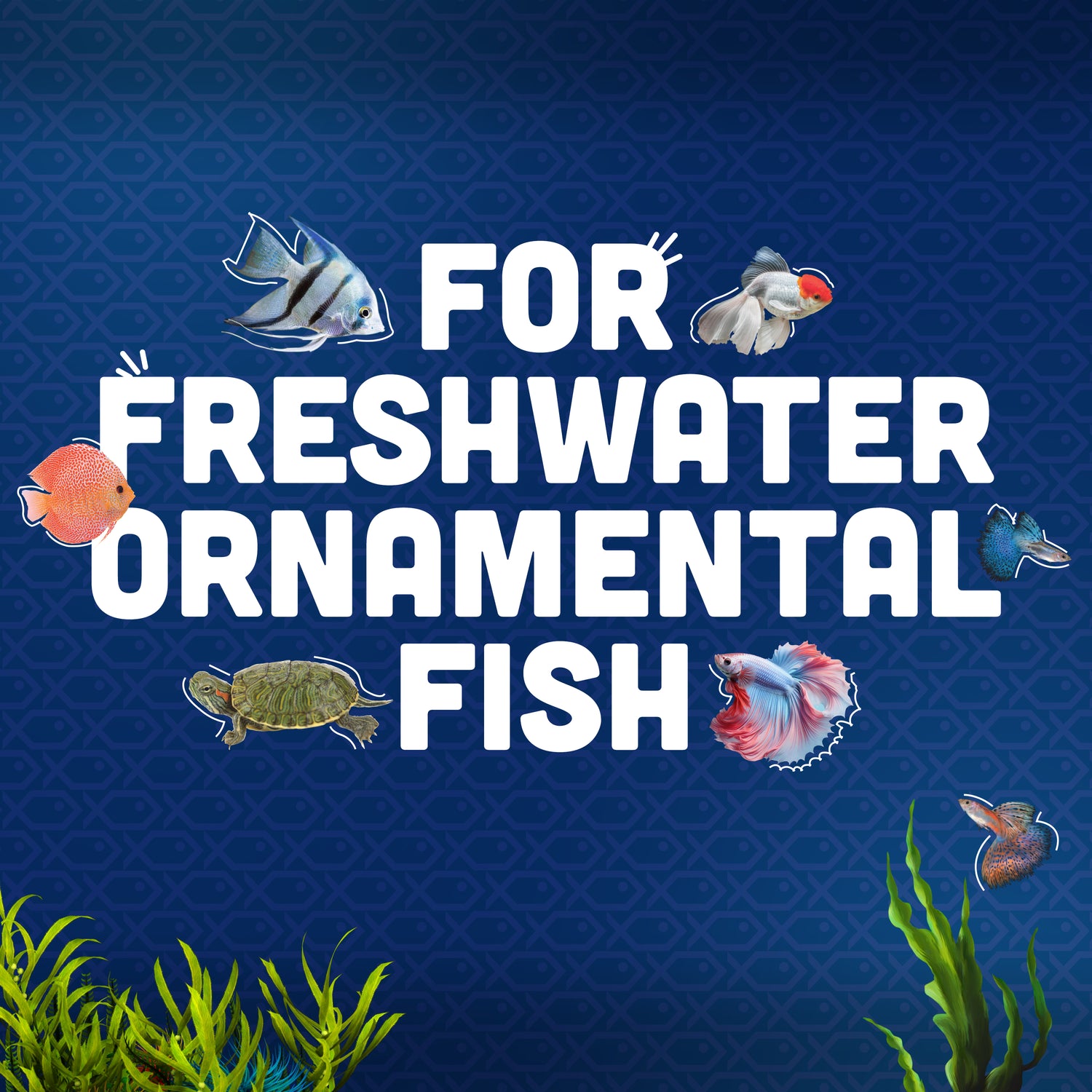 Fresh Water Pets