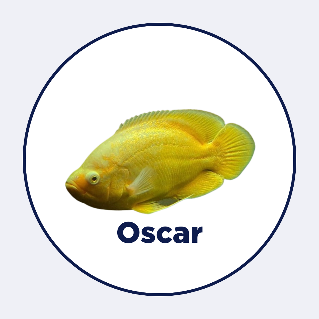 Oscar