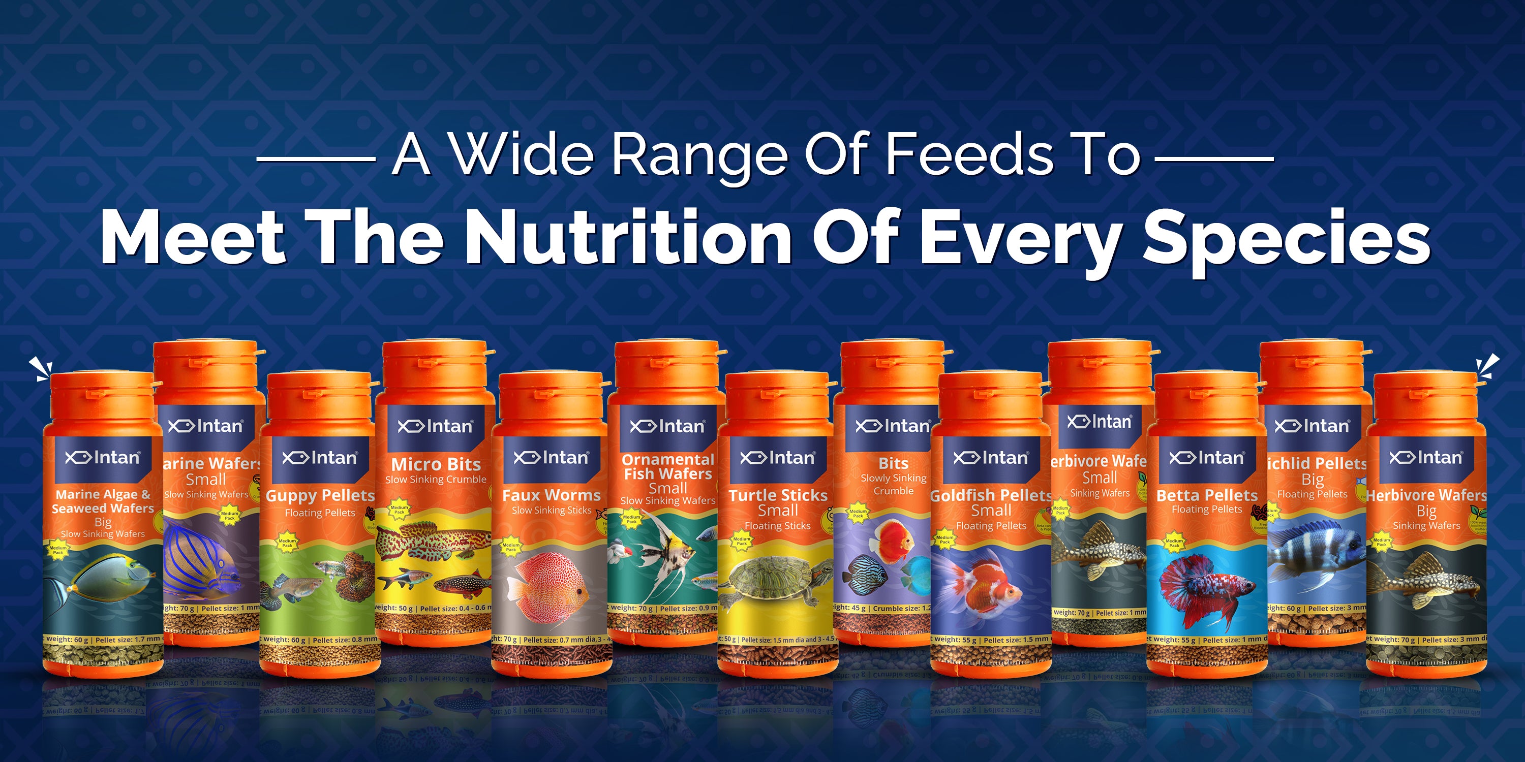 Intan Ornamental Fish Food, Fish feed all products banner a wide range of feeds, species specific nutrition for fish