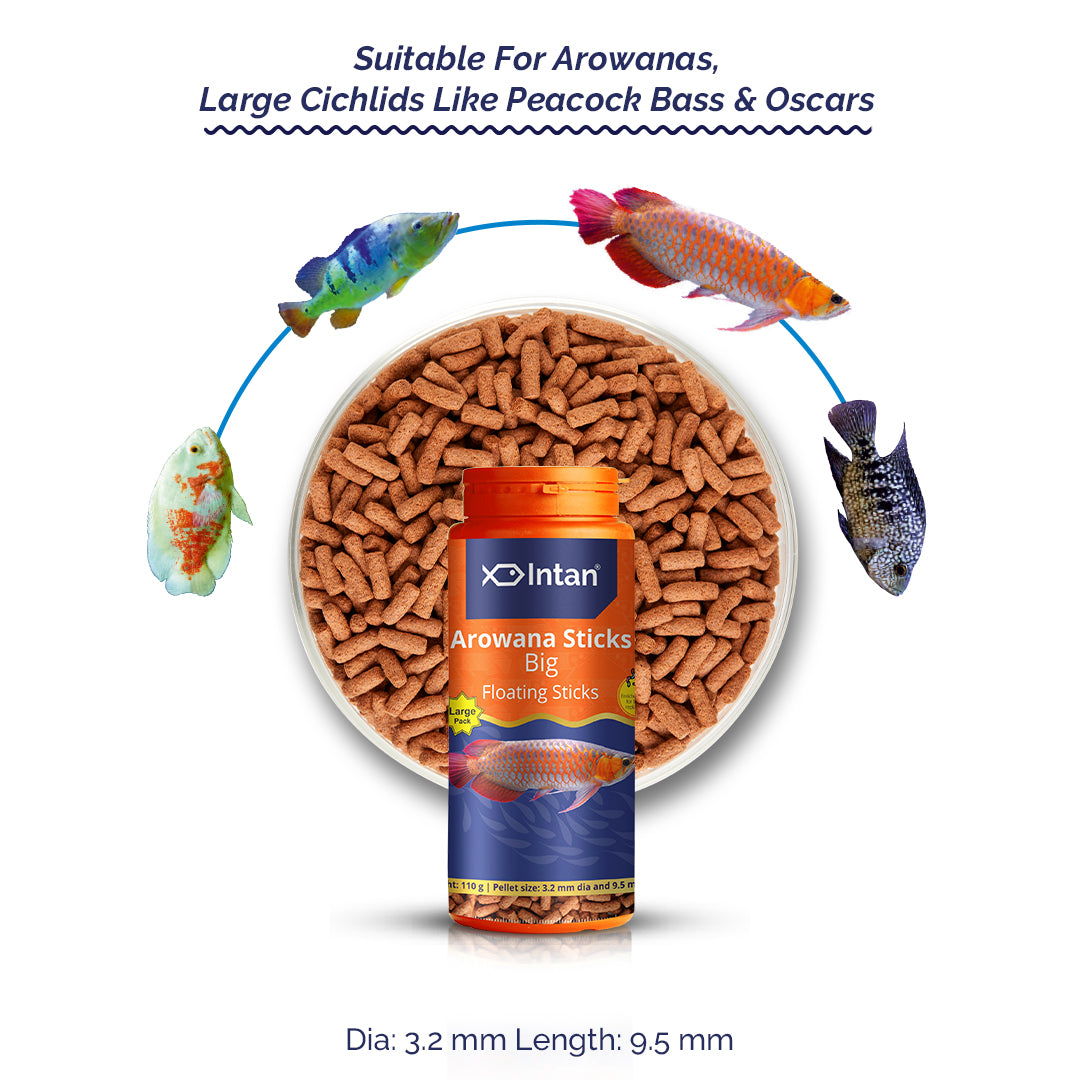 Intan Arowana Sticks - Big | Floating Fish Food