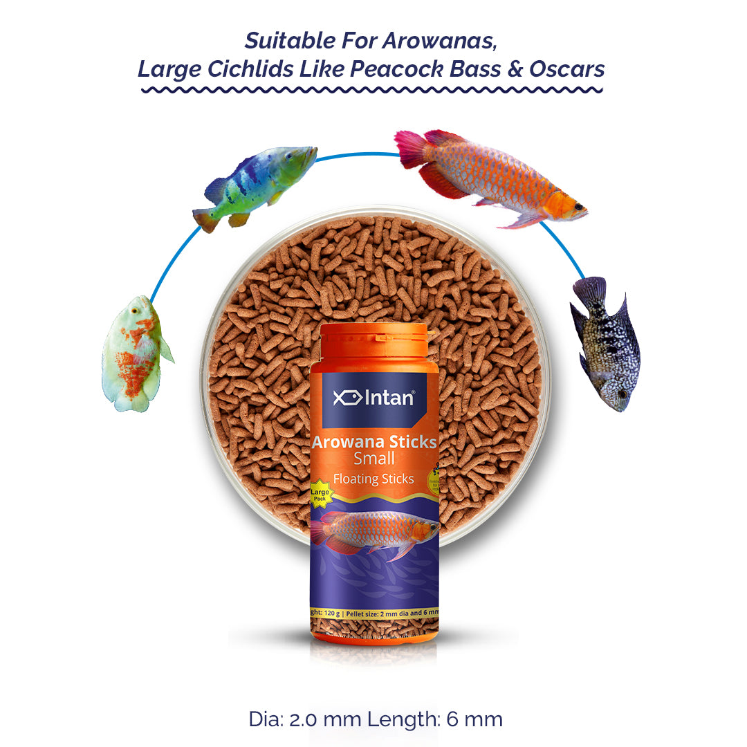 Intan Arowana Sticks - Small | Floating Fish Food