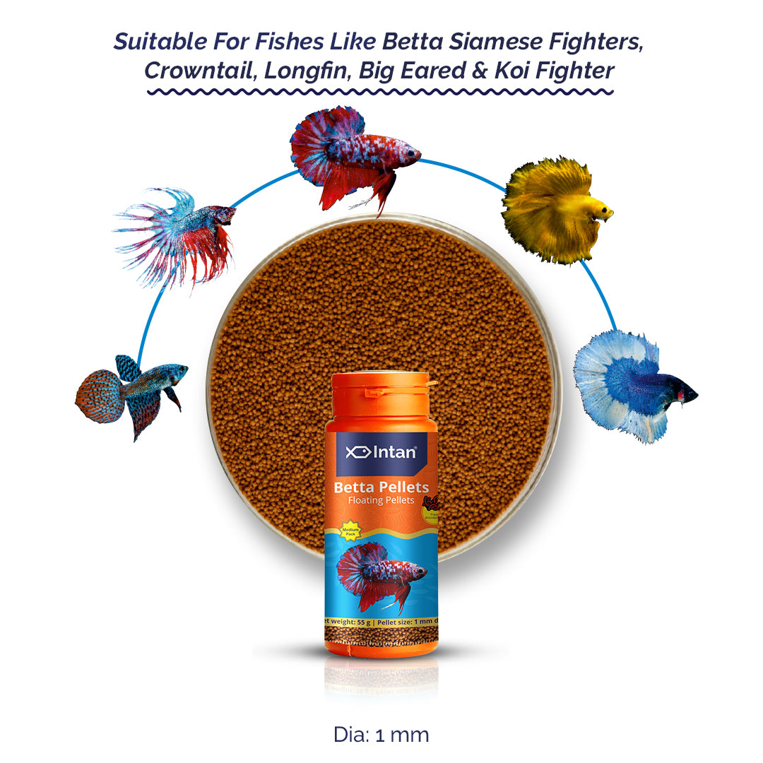Intan Betta Pellets - Fish Food | Floating Pellets