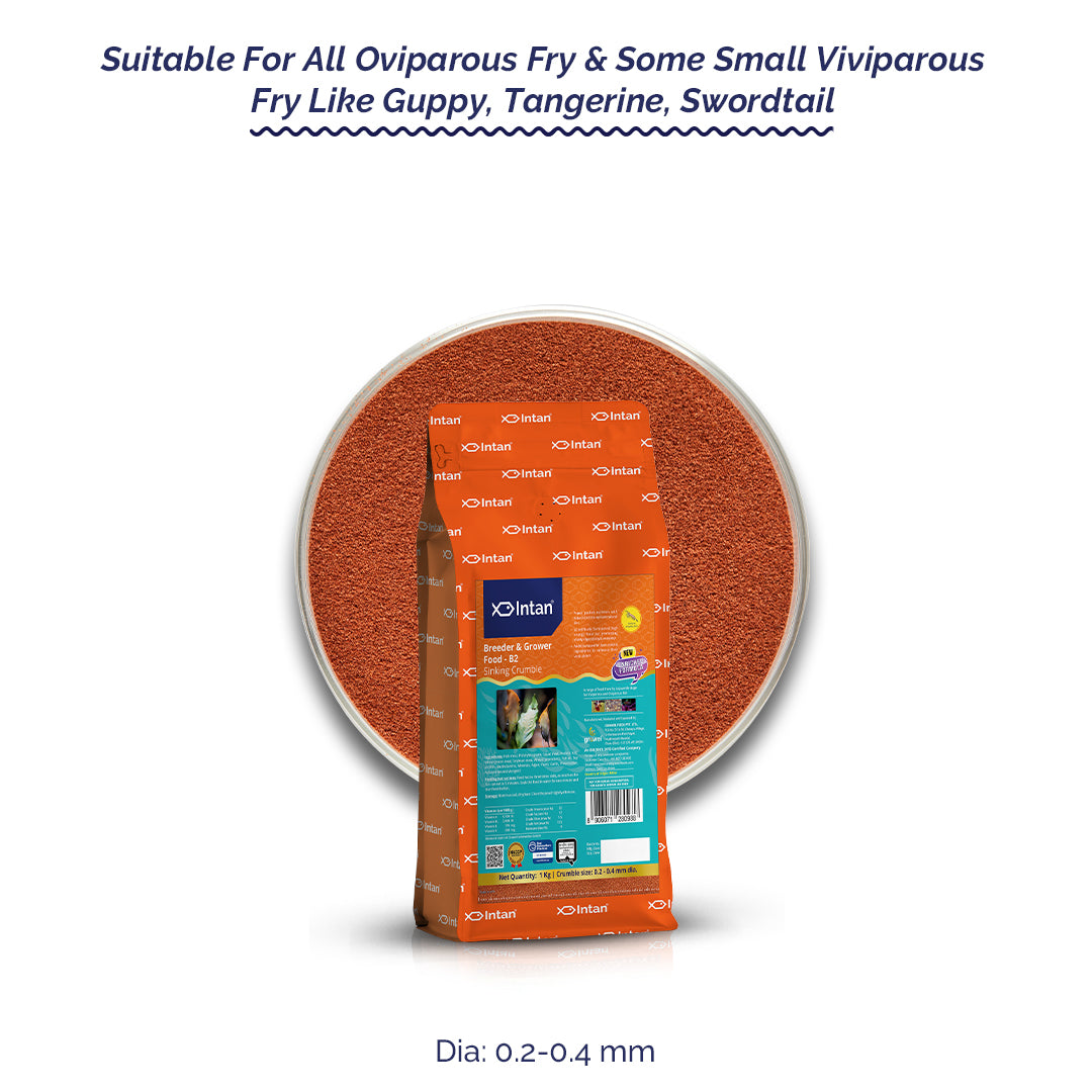 Intan Breeder & Grower Food - B2 | Slow Sinking Fish Food