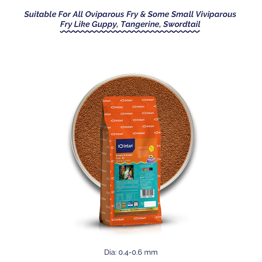 Intan Breeder & Grower Food - B3 | Slow Sinking Fish Food