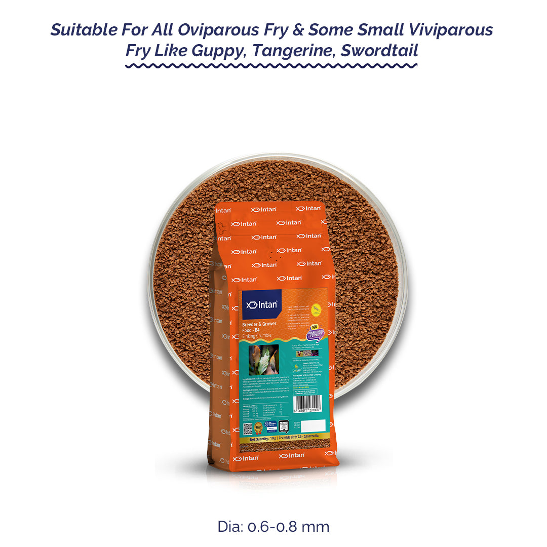 Intan Breeder & Grower Food - B4 | Slow Sinking Fish Food