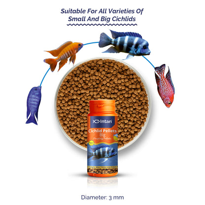 Growel Intan Cichlid Pellets (Big) | Ornamental Fish Food