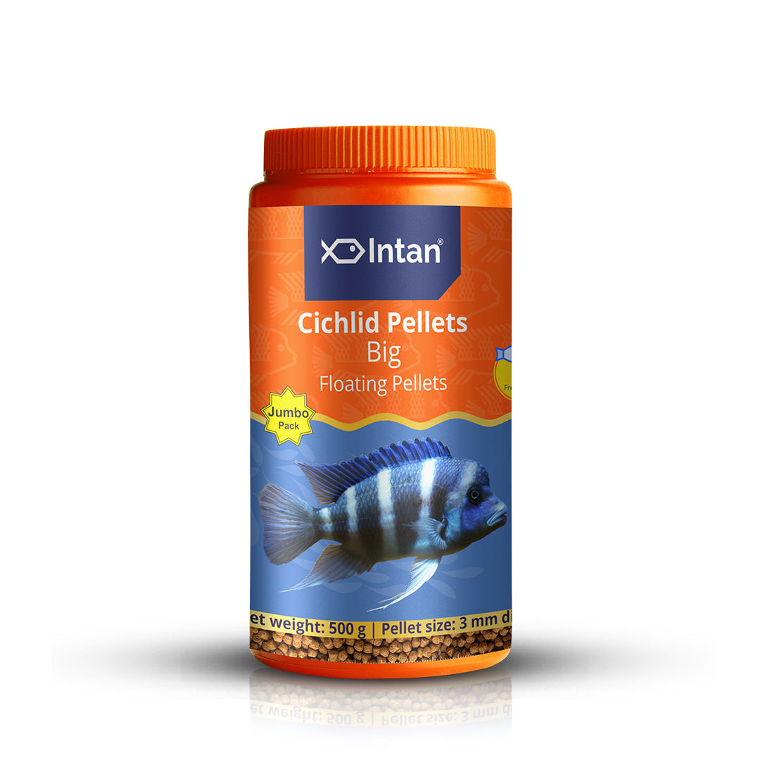 Growel Intan Cichlid Pellets (Big) | Ornamental Fish Food