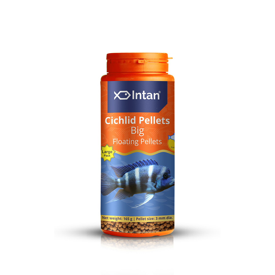 Intan Cichlid Pellets Big Fish Food - 165g