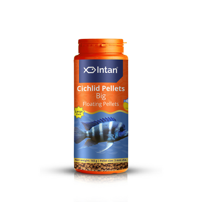 Intan Cichlid Pellets Big Fish Food - 165g