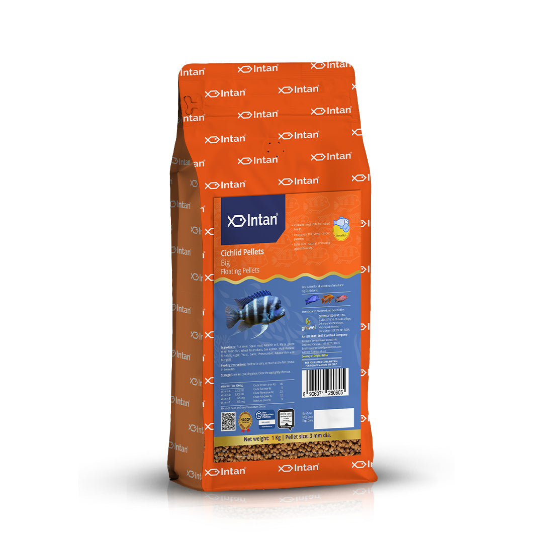 Intan Cichlid Pellets Big Fish Food - 1Kg