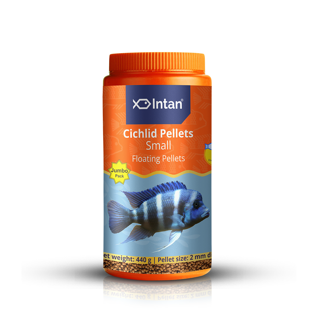 Intan Cichlid Pellets Big Fish Food - 440g