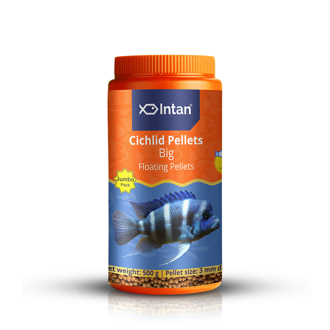 Intan Cichlid Pellets Big Fish Food - 500g