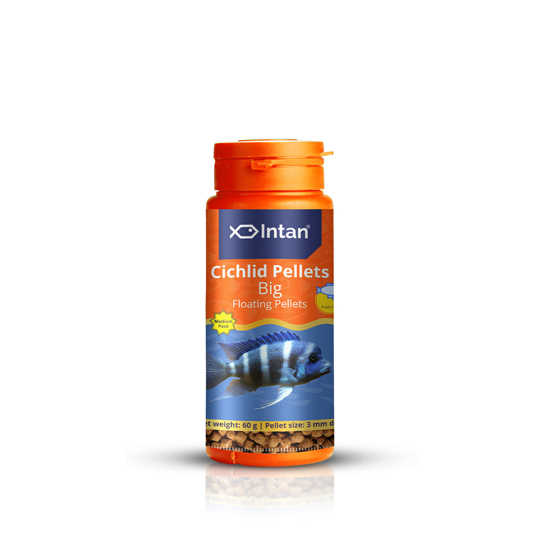 Intan Cichlid Pellets Big Fish Food - 60g