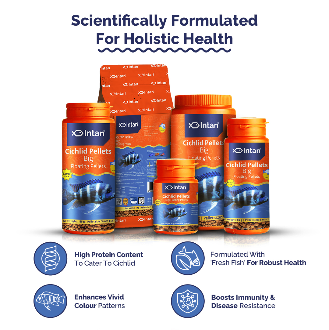 Intan Cichlid Pellets Big Fish Food packaging with products and Benefits