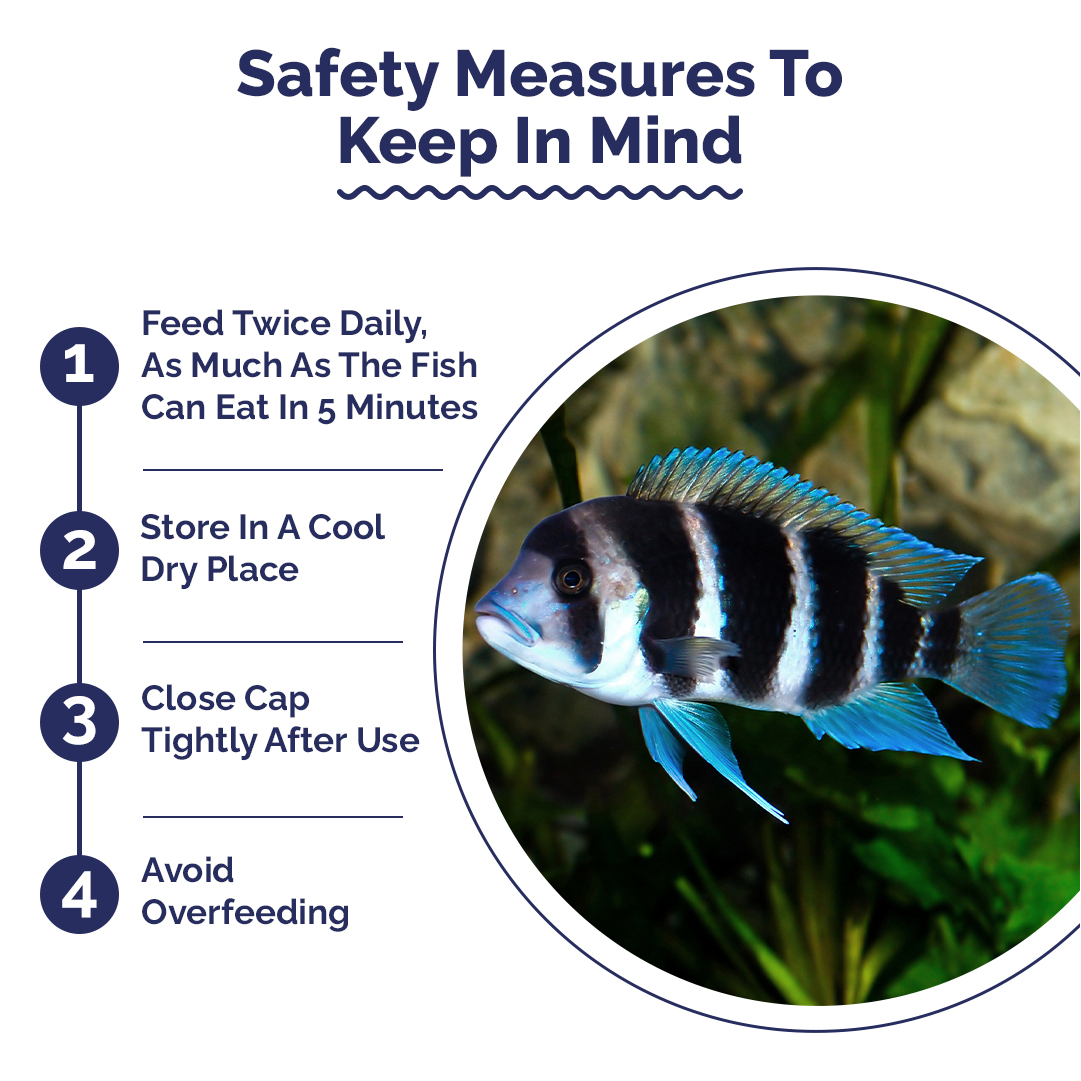 Safety measures for fish care with a circular inset showing Cichlid fishes in an aquarium.