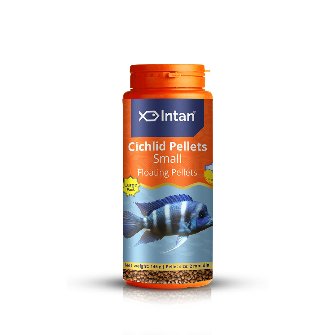 Intan Cichlid Pellets Small Fish Food
