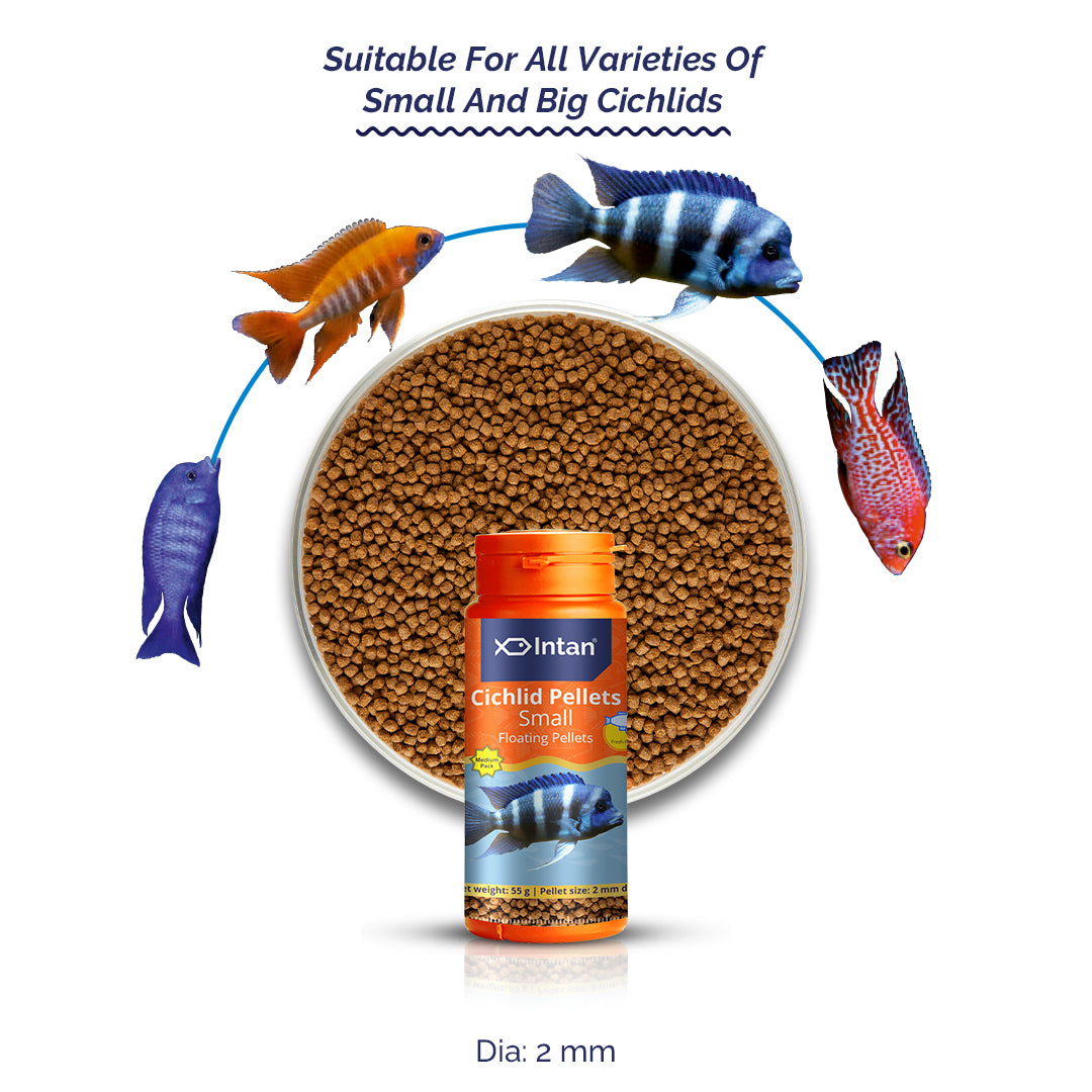 Growel Intan Cichlid Pellets (Small) | Ornamental Fish Food