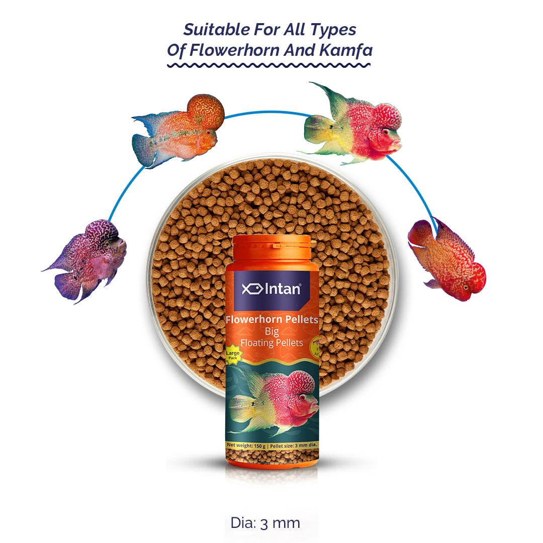 Intan Flower Horn Pellets - Big | Floating Fish Food
