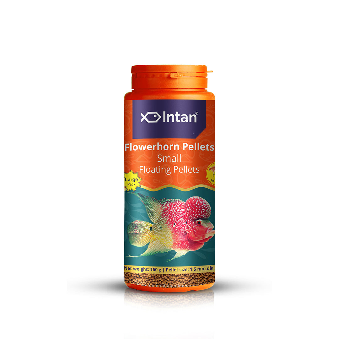 Intan Flower Horn Pellets - Small | Floating Fish Food