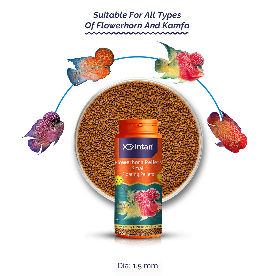 Intan Flower Horn Pellets - Small | Floating Fish Food