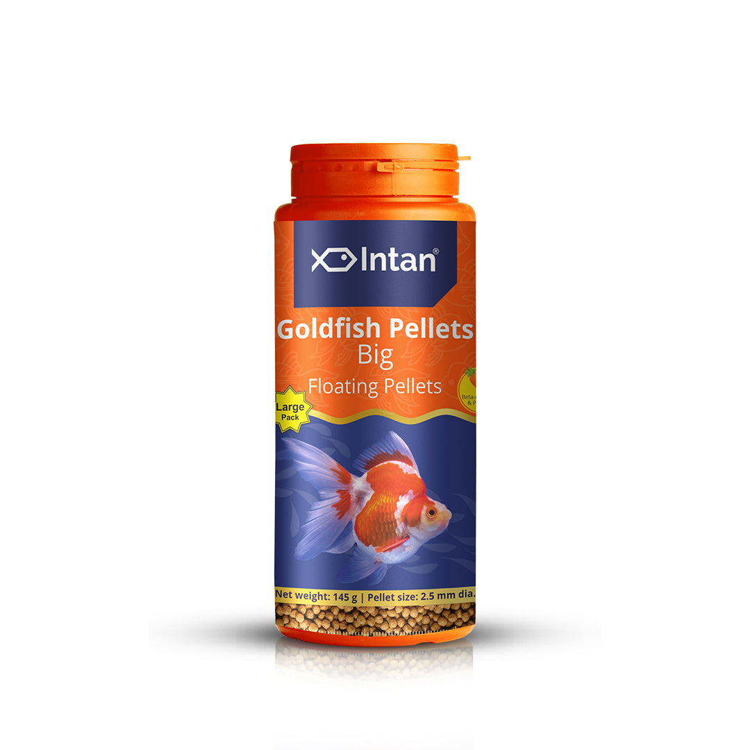 Growel Intan Goldfish Pellets (Big) | Ornamental Fish Food