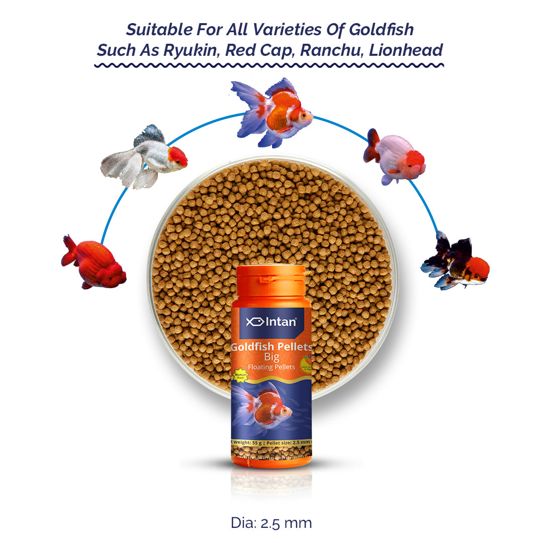 Intan Goldfish Pellets - Big | Floating Fish Food