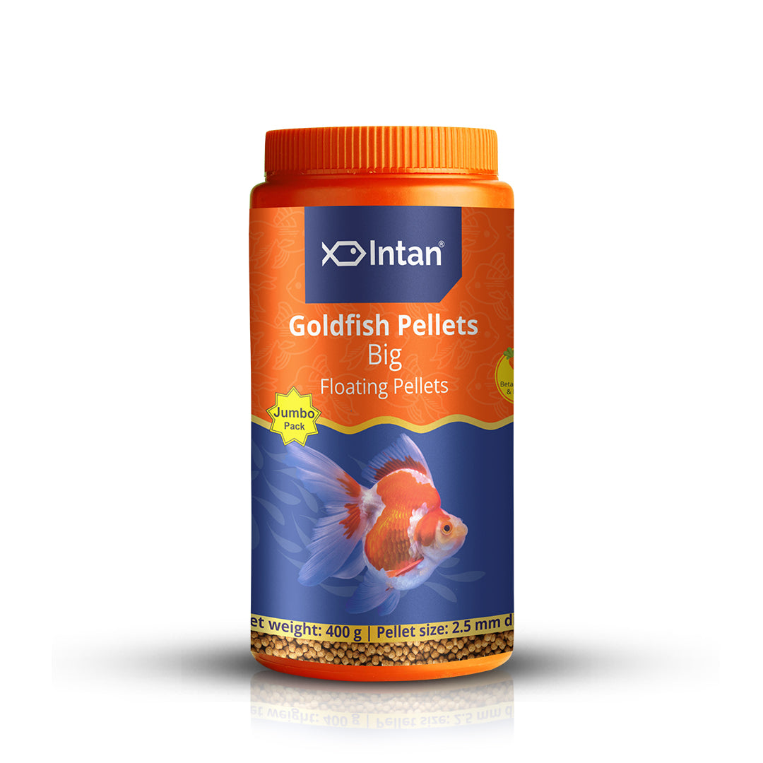 Growel Intan Goldfish Pellets Big Ornamental Fish Food Intan Growel