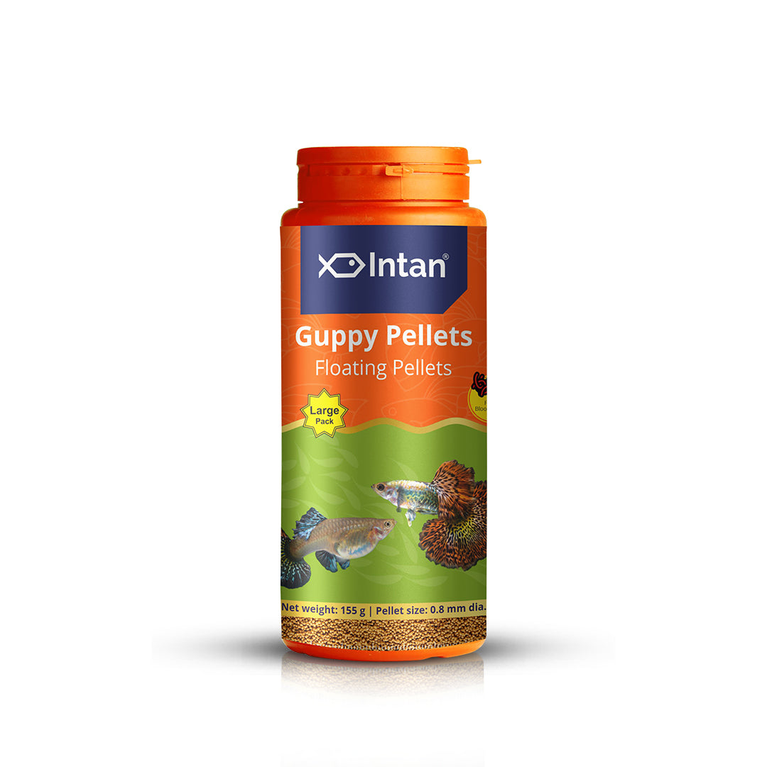 Intan Guppy Pellets - Floating Fish Food