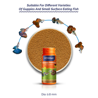 Growel Intan Guppy Pellets | Highly Nutritious Ornamental Fish Food