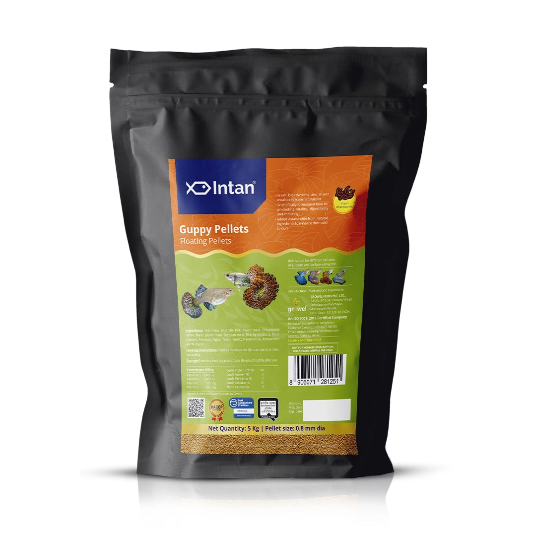 Intan Guppy Pellets - Floating Fish Food