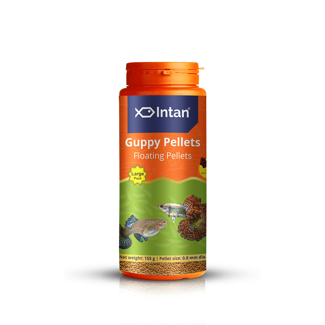 Intan Guppy Pellets Fish Food - 155g