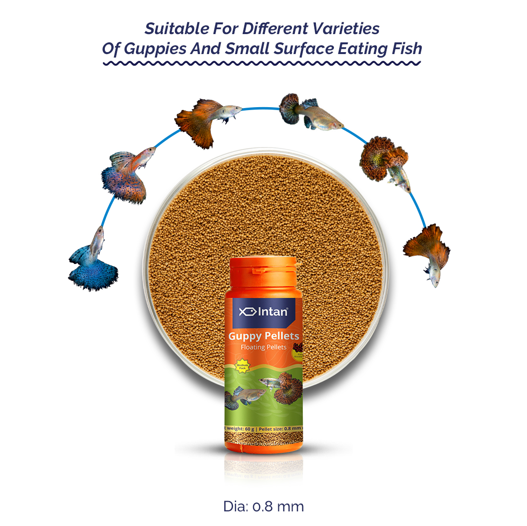 Intan Guppy Pellets - Floating Fish Food