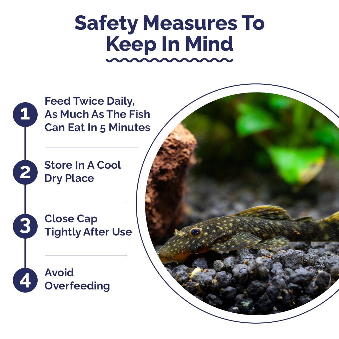 Safety measures for fish care with a circular inset showing fishes in an aquarium.