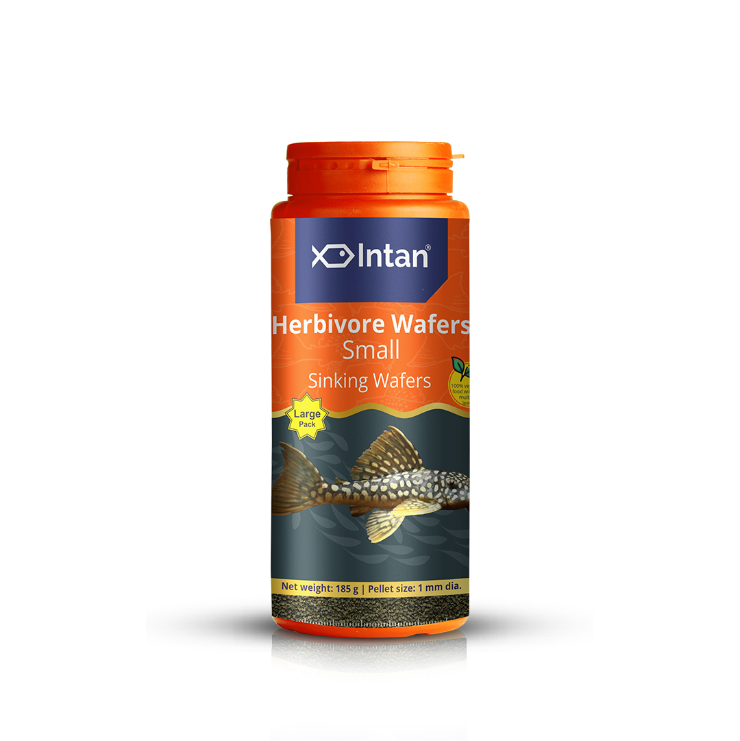 Intan Herbivore Wafers Big Fish Food - 185g