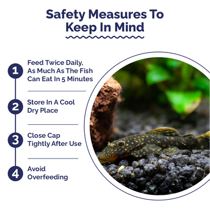 Safety measures for fish care with a circular inset showing fishes in an aquarium.