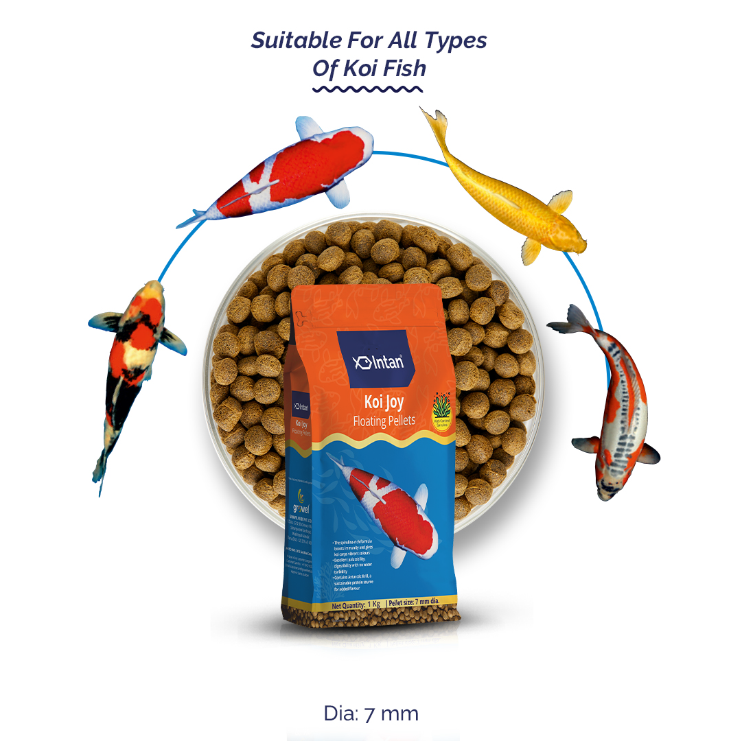 Intan Koi Joy Pellets - Floating Fish Food