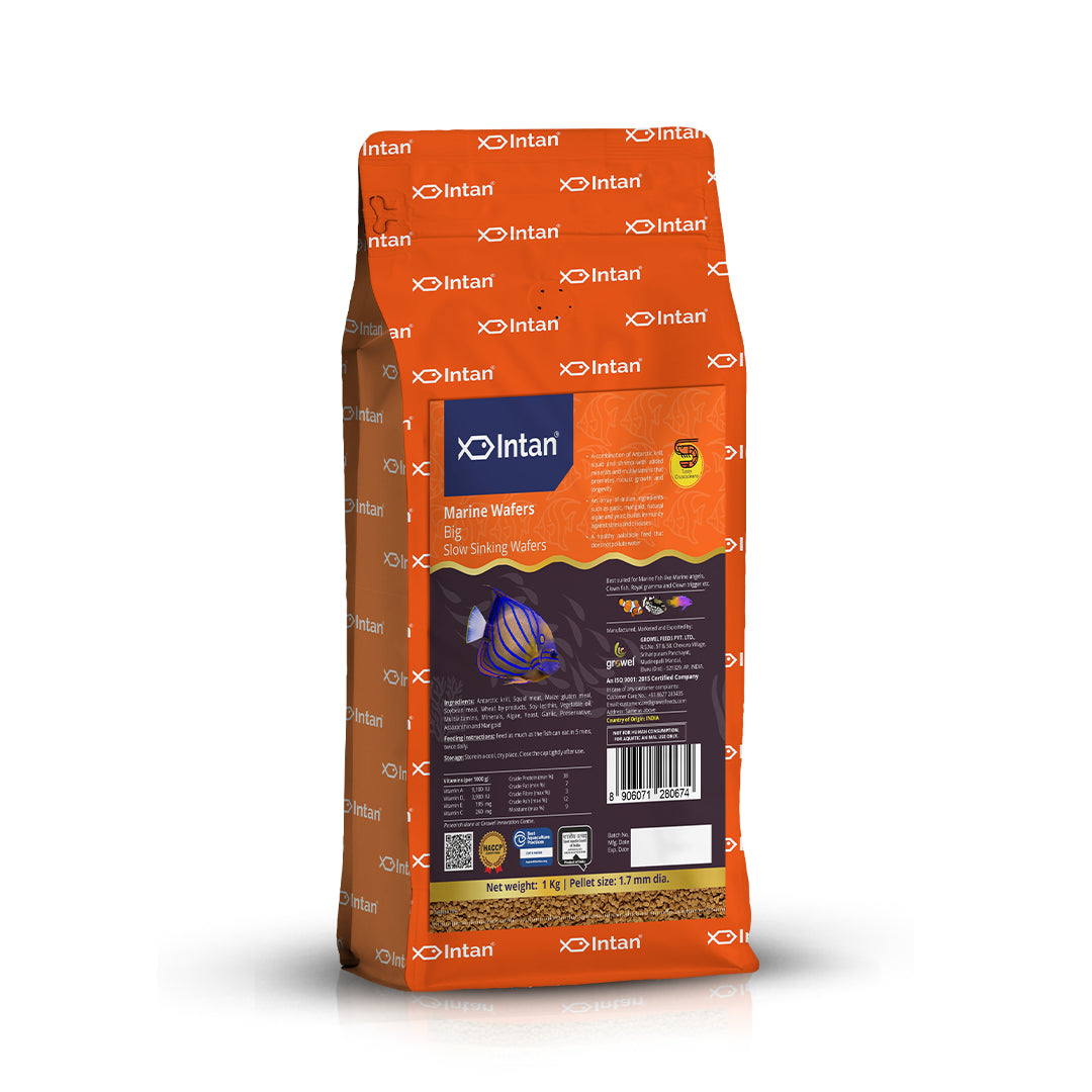 Intan Marine Wafers Big Fish Food - 1Kg